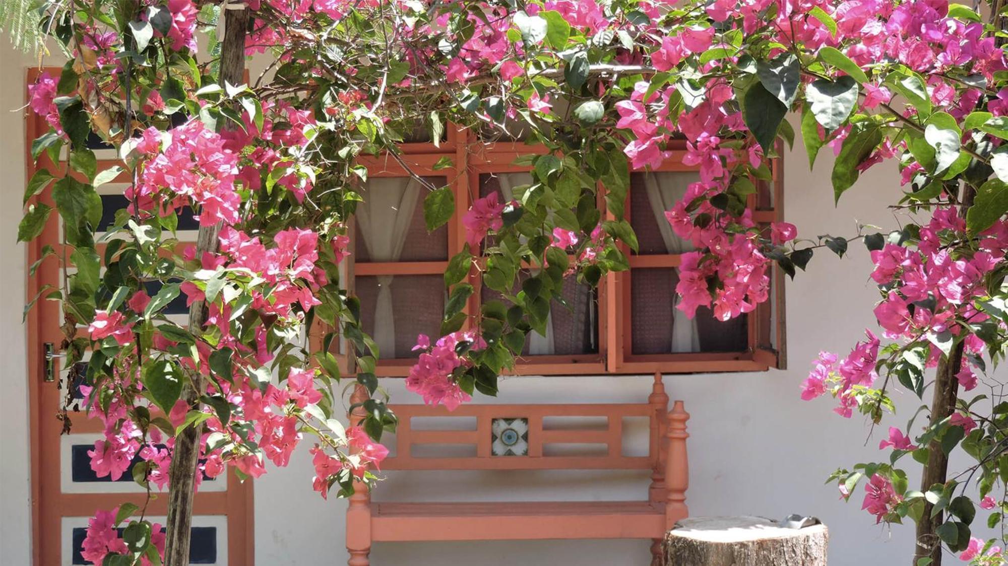 Paje By Night Bungalows Exterior photo